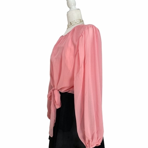 Leyden Tie Front Chiffon Blouse Pink NWOT - Picture 2 of 8
